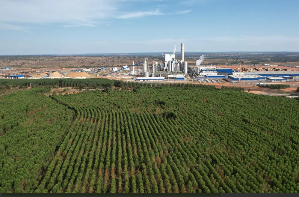 ICMBio cria reserva de 1,2 mil hectares de Cerrado em Ribas do Rio Pardo