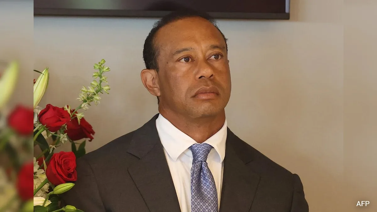 Tiger Woods Plans To Change Plea In Florida Car Crash Case: Court Document