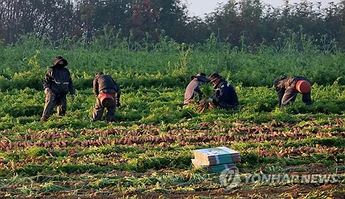 이주단체 "계절노동, 외국인 인신매매 전락…전면 개혁해야"