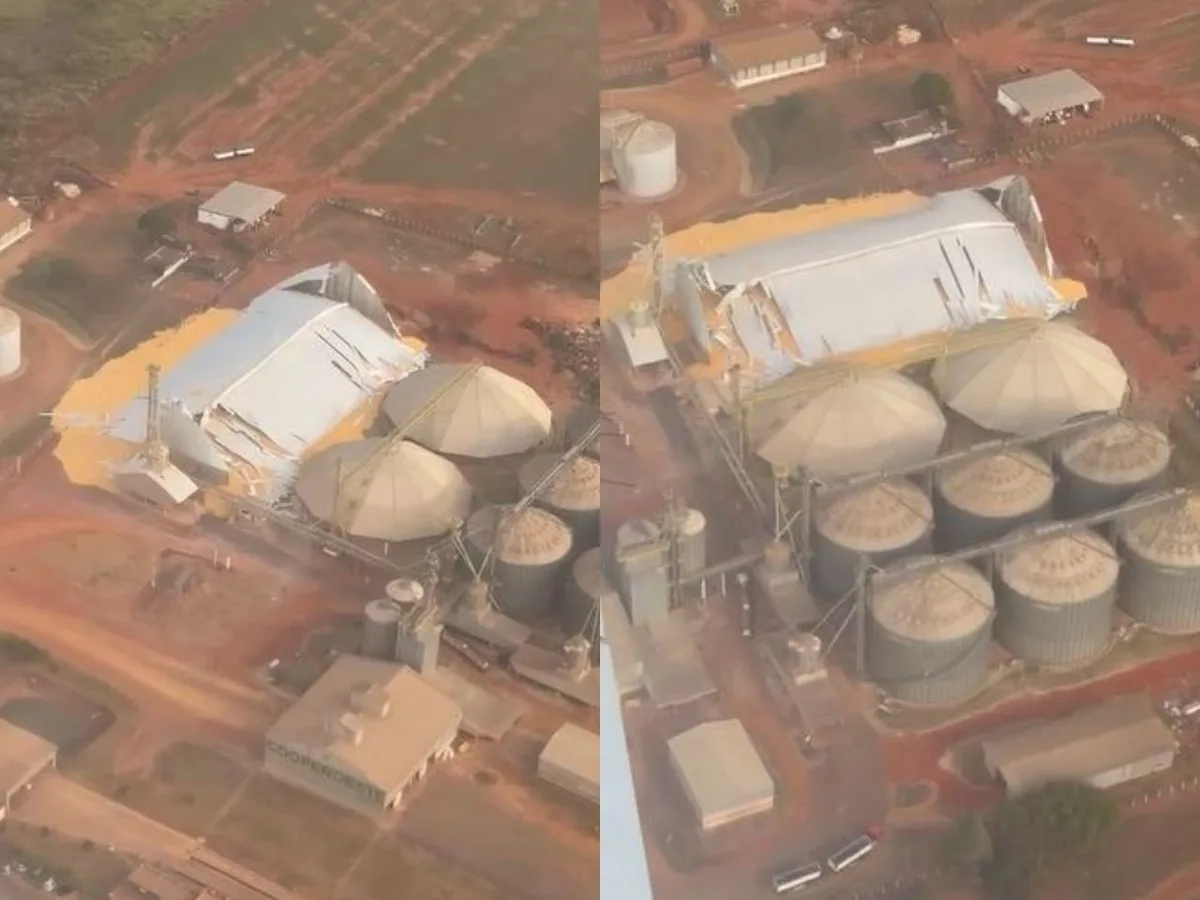 Armazém de cooperativa desaba e espalha mais de 30 toneladas de milho em São Gabriel do Oeste