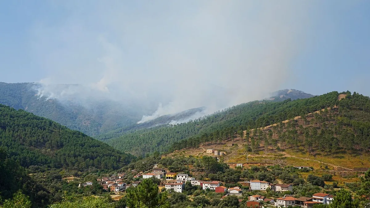 Nach dem Waldbrand: Waldbrände in Spanien - Deutscher Naturfilmpreis für Doku