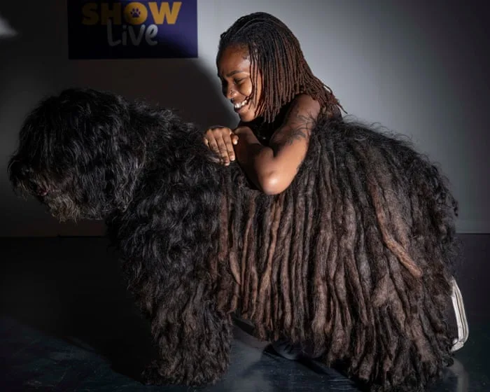Animals and their people: country shows across the UK – in pictures