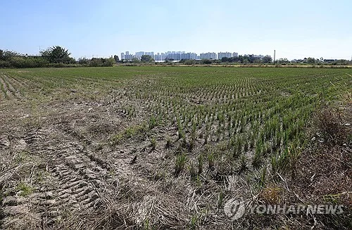 농식품부·농어촌공사, 내일부터 '농지 전수조사 상담센터' 운영