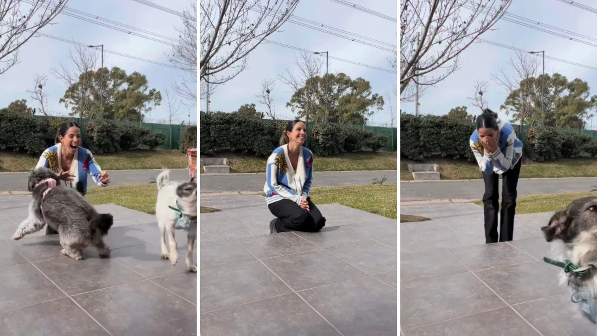 Cande Molfese reveló el género de su bebé con la ayuda de sus dos perros: “Ay, no lo puedo creer”