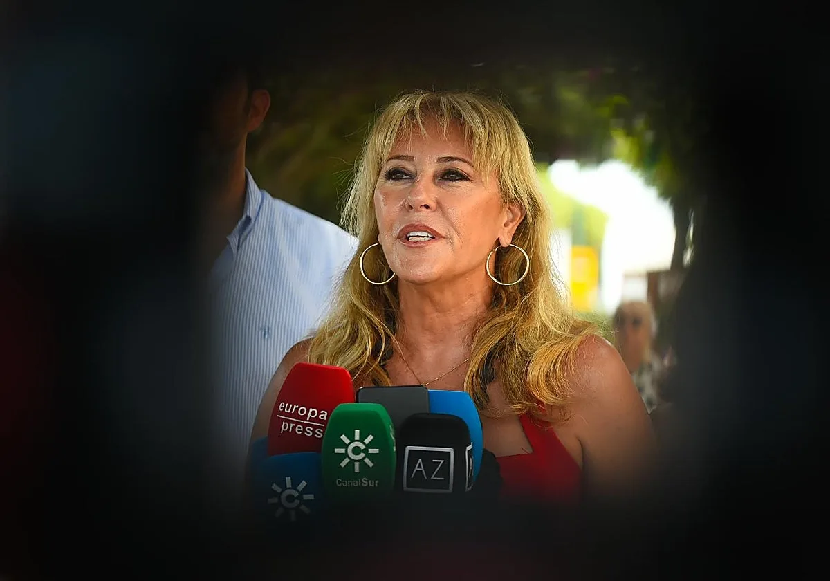La Junta señala al Gobierno por la «alarma social» generada ante los últimos tiroteos en Andalucía