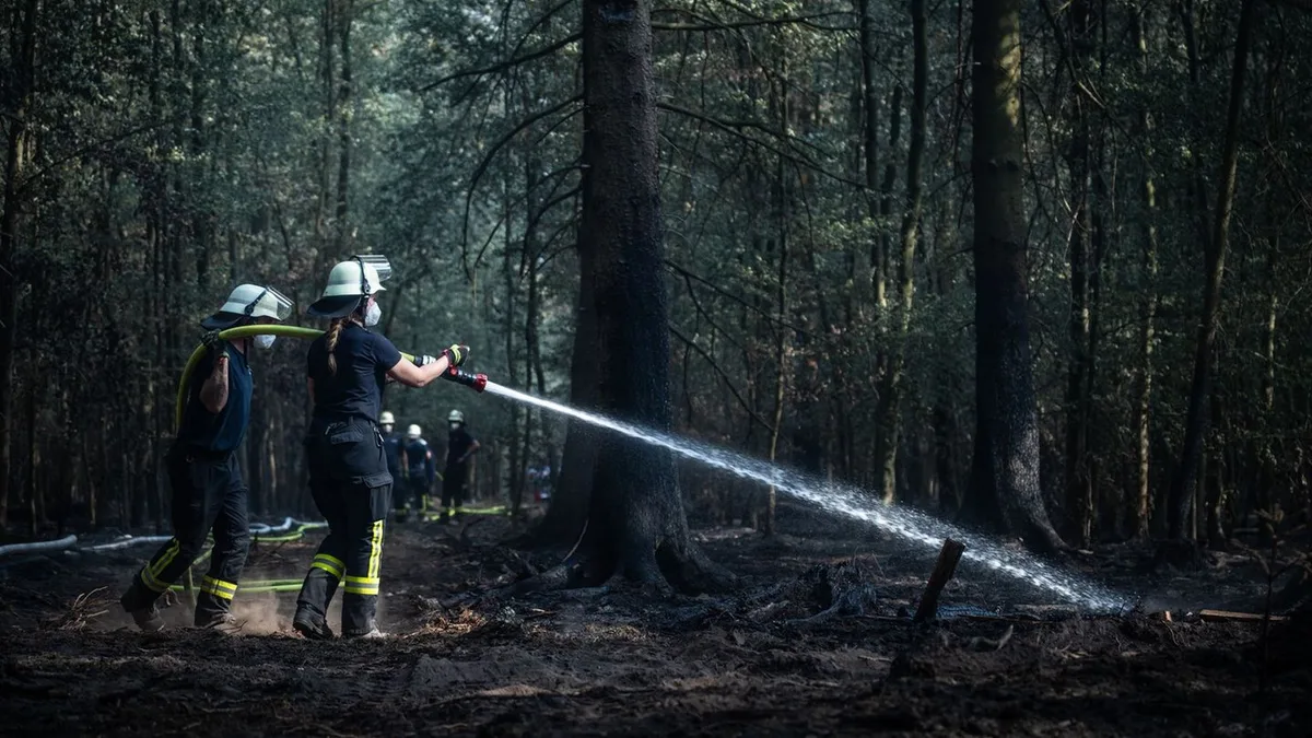 Hitzewelle: Merz will Helfern im Waldbrandgebiet danken