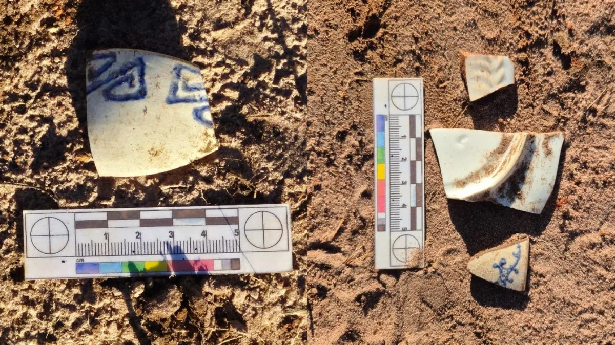 Peças encontradas em obra de rodovia do Paraná podem fazer parte da história do Ciclo do Café e chegada de imigrantes na região