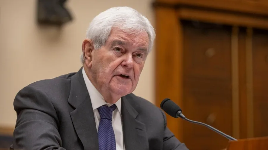 Gingrich: Midterms offer choice of 'big government socialism and weird values' or Republicans
