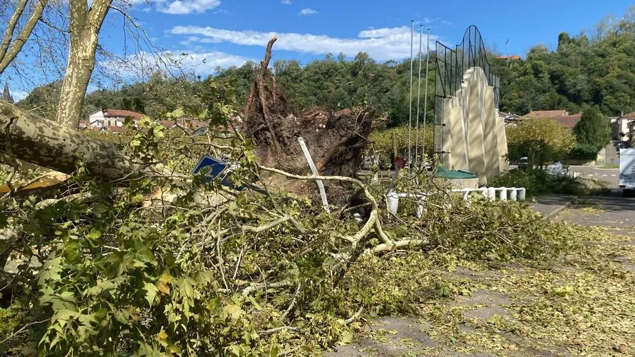 EN IMAGES - De nombreux dégâts dans le sud des Landes après de violents orages