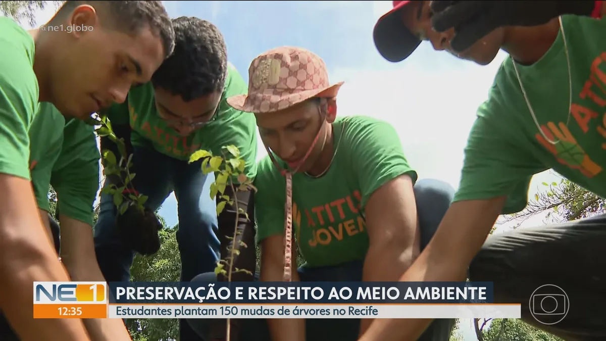 VÍDEOS: NE1 de terça-feira, 1º de setembro de 2026
