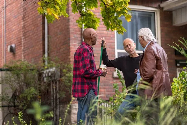 Lawyer explains legal rights on cutting overhanging branches of neighbour's tree in England and Wales