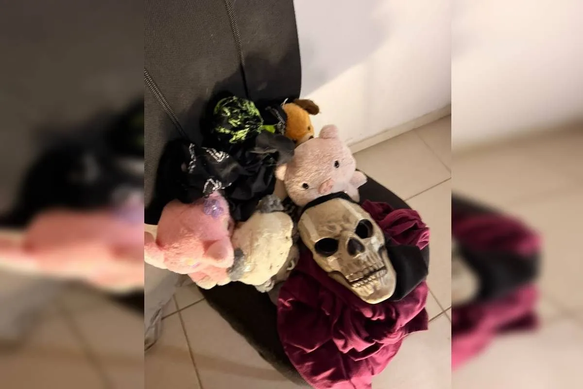 Predador virtual fingia ser garota para violentar e extorquir menina