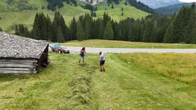 Wildwiesenwirtschaft im Allgäu