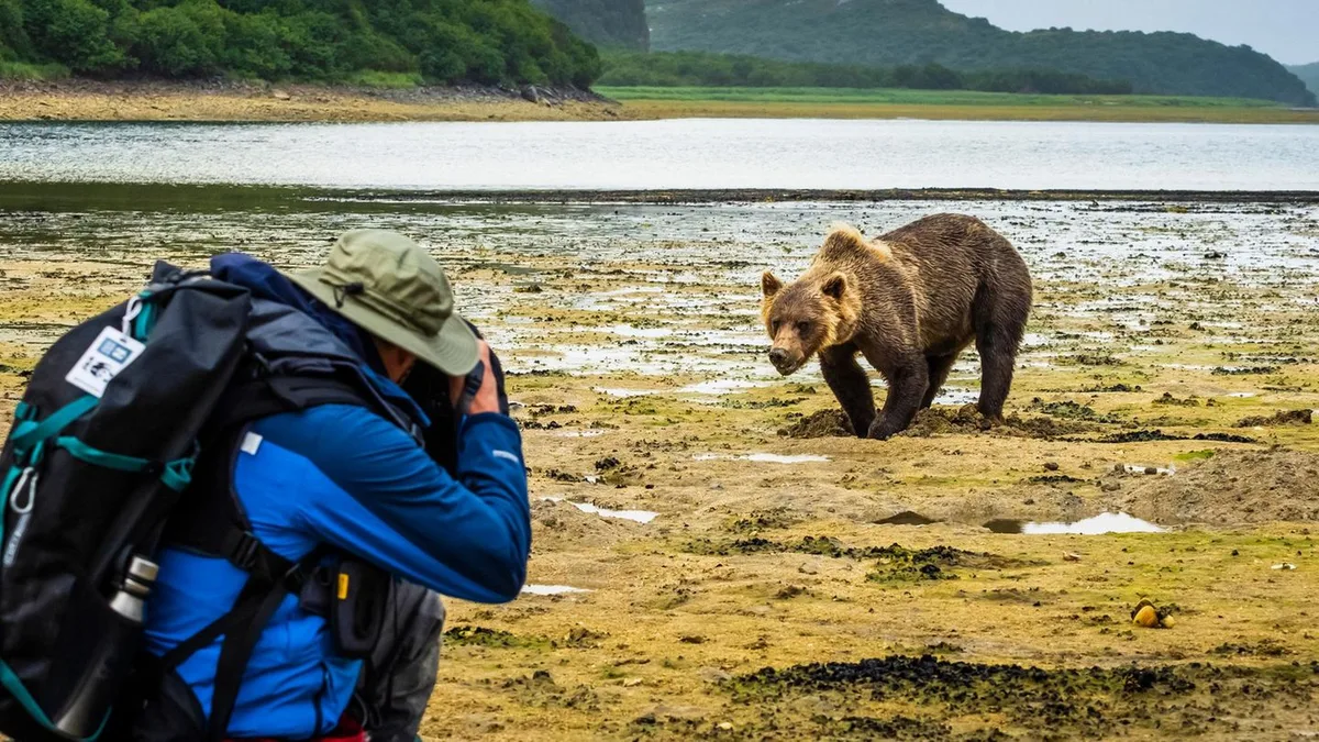 Wandern: Warum Bären-Glöckchen die Tiere anlocken statt sie zu vertreiben