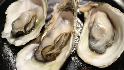 Thieves steal 400,000 oysters worth $250k