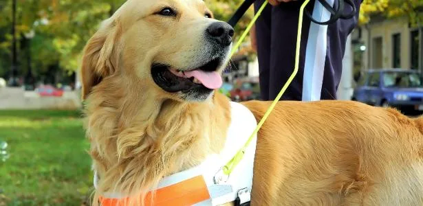Senacon vai apurar falhas da Uber e da 99 no atendimento a idosos e PCDs