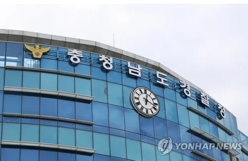 '법규 위반 차' 노려 고의 교통사고…보험금 3억원 탄 24명 송치
