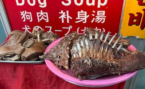 Corea del Sur se despide de la sopa de carne de perro; comerciantes cuestionan que nuevas leyes afectan comercio y tradiciones