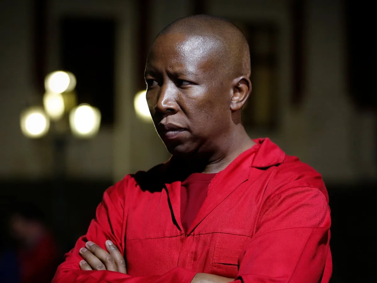 Parliament ‘obligated’ to remove Malema from JSC if not fit and proper, court told