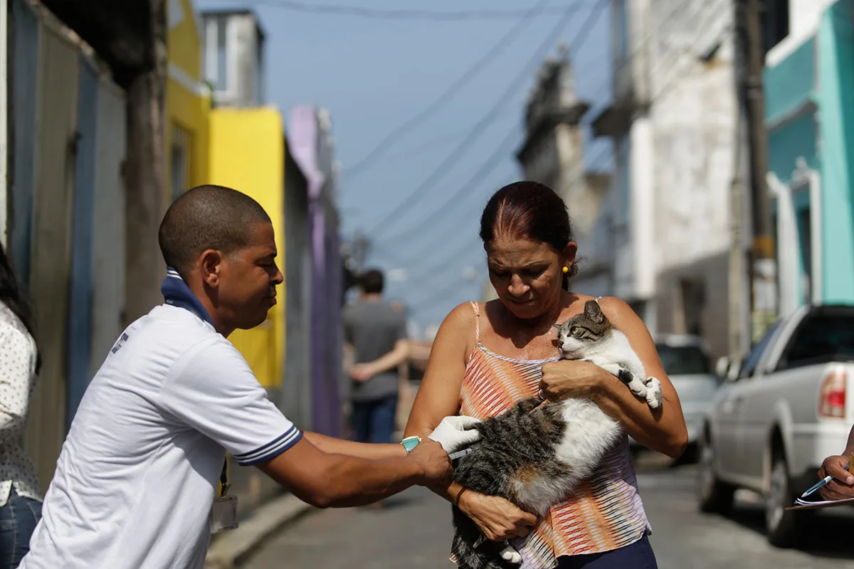 Vacinação de cães e gatos acontece em bairros de Salvador neste domingo (30/08)