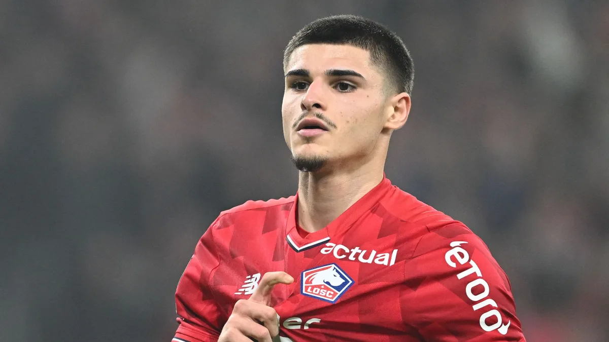 Newcastle sign Fernandez-Pardo from Lille