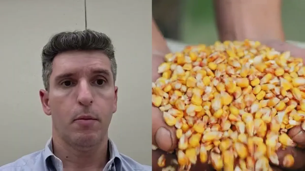 Entenda a origem dos recursos do crédito rural no Brasil