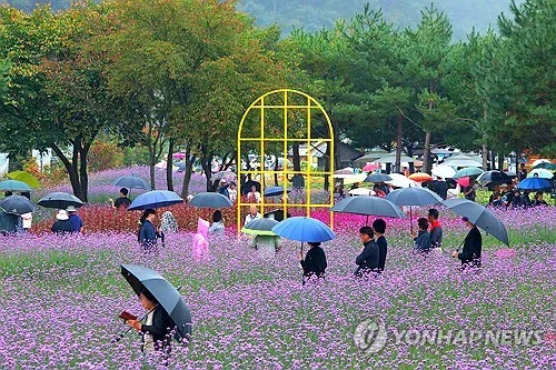 강원 내륙·산지 5∼10㎜ 소나기…"교통안전 유의"