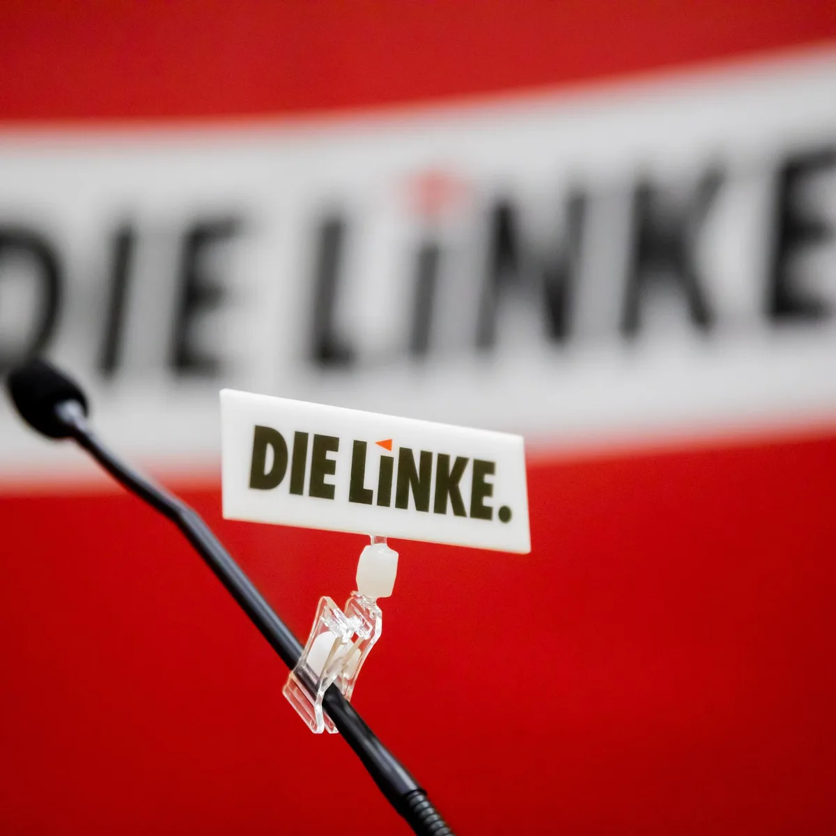 Berlin - Antisemitismus-Vorwürfe: Linke weist Vorhaltungen von Israels Botschafter zurück
