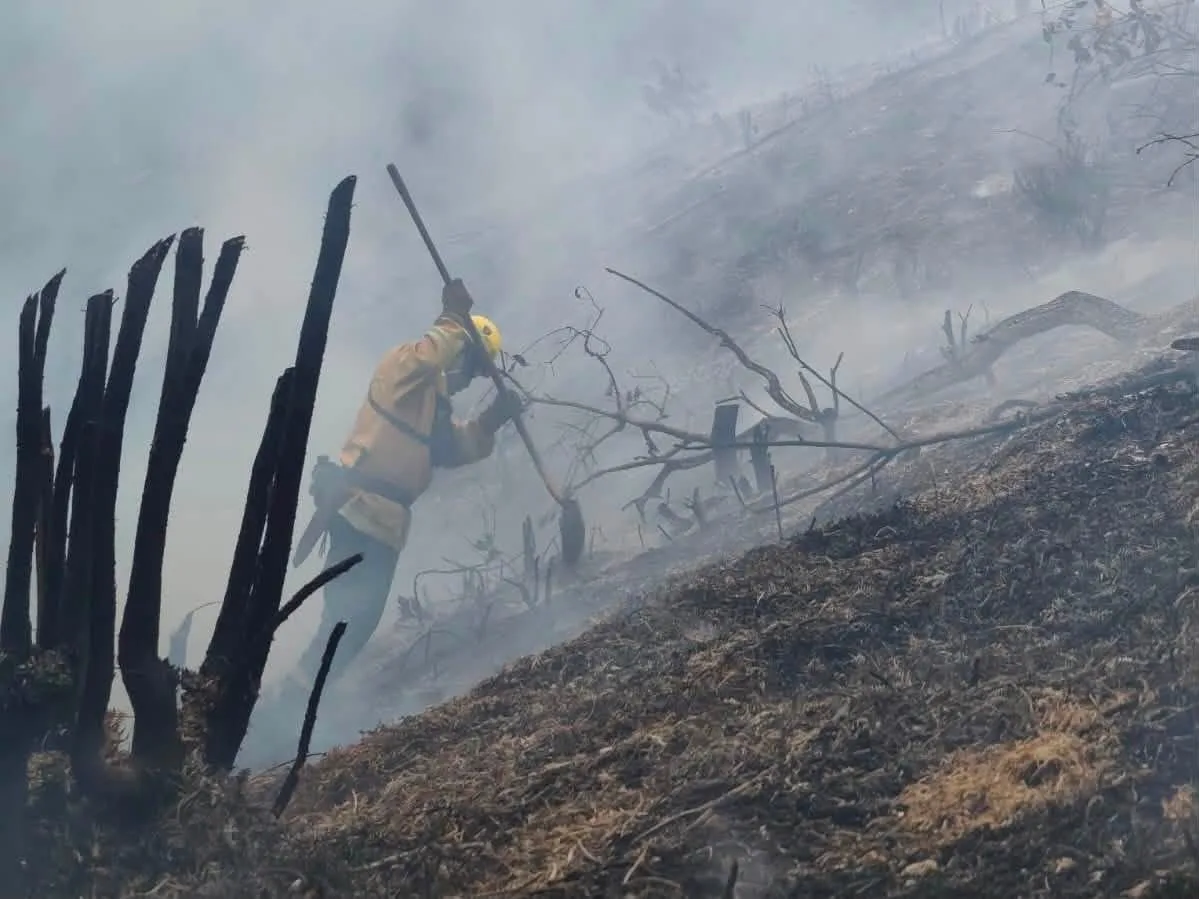 Colombia enfrenta 15 incendios forestales activos, nueve en Tolima; Cali reportó más de 70 hectáreas quemadas y dos bomberos lesionados