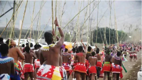 Reed dance kicks off KZN heritage month celebrations