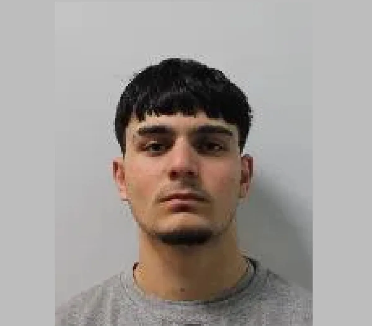 Teenage asylum seeker jailed over ‘savage’ knife murder in Westminster