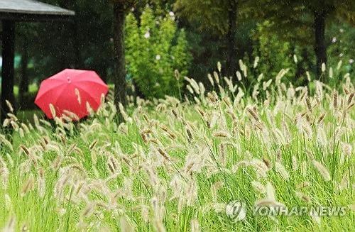 9월 첫날 중부지방 비 소식…한낮 최고 33도
