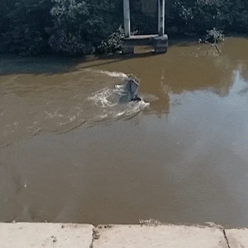 Ponte de concreto desmorona, caminhão cai e motorista morre no Rio Taquari