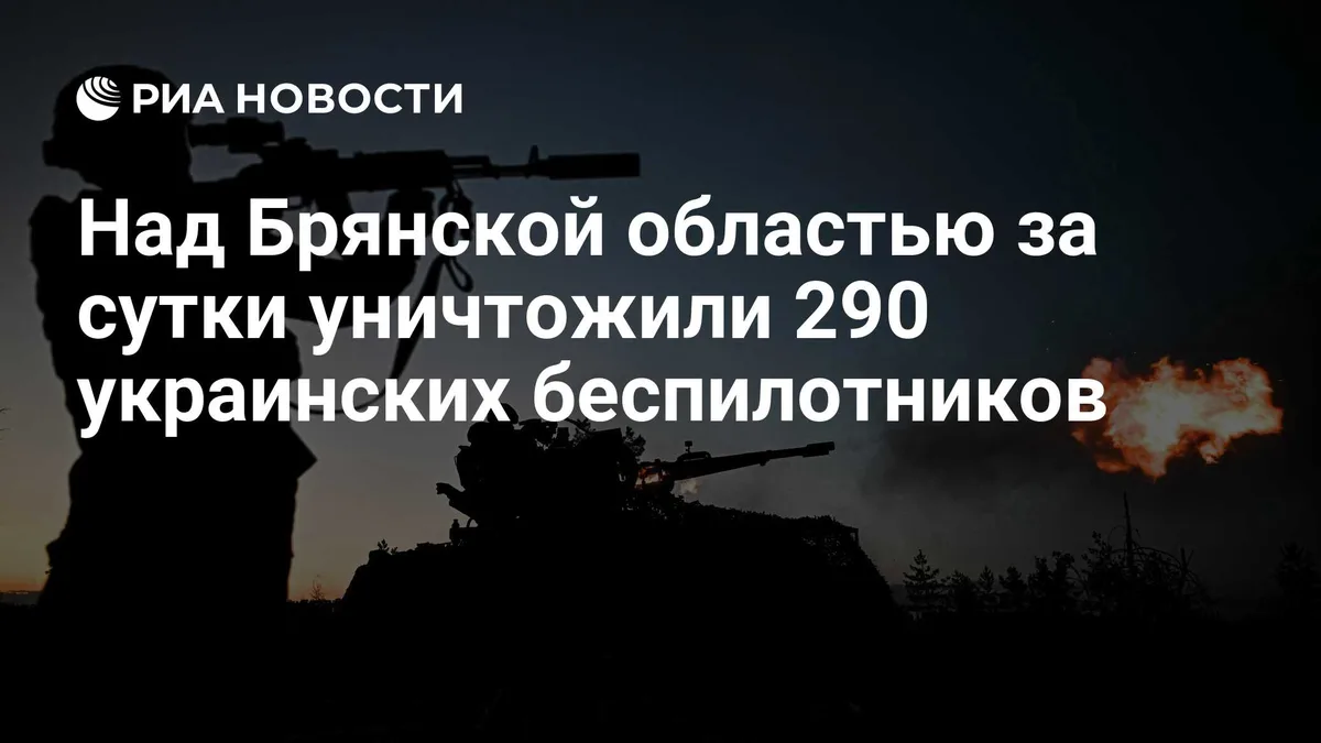 Над Брянской областью за сутки уничтожили 290 украинских беспилотников