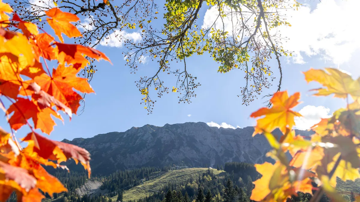 BILD-Tool verrät Ihr Wetter - Der Oktober dreht noch einmal die Heizung auf