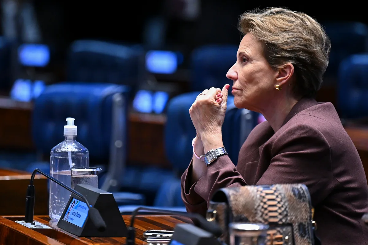 Tereza Cristina diz que Senado não pode ser passivo diante do STF