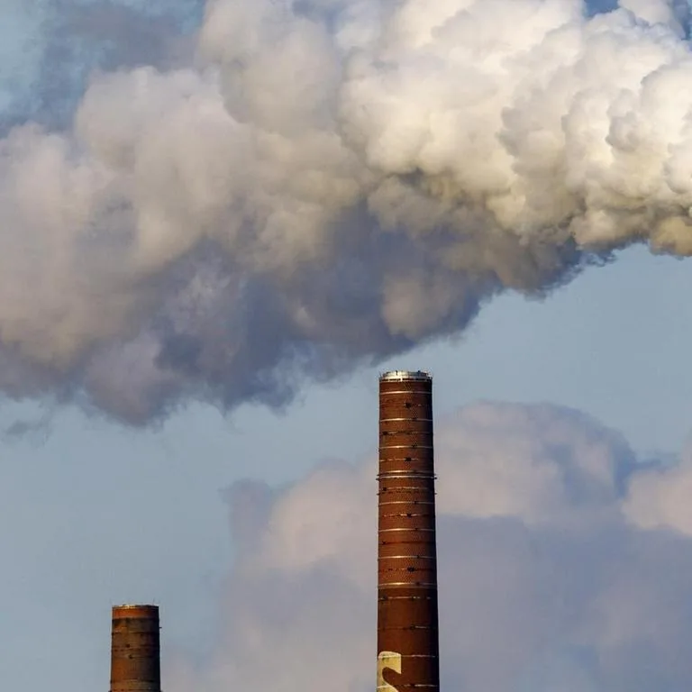 Schätzung - "Agora Energiewende": Deutschland droht Klimaziel 2026 zu verfehlen - Bundesregierung dementiert