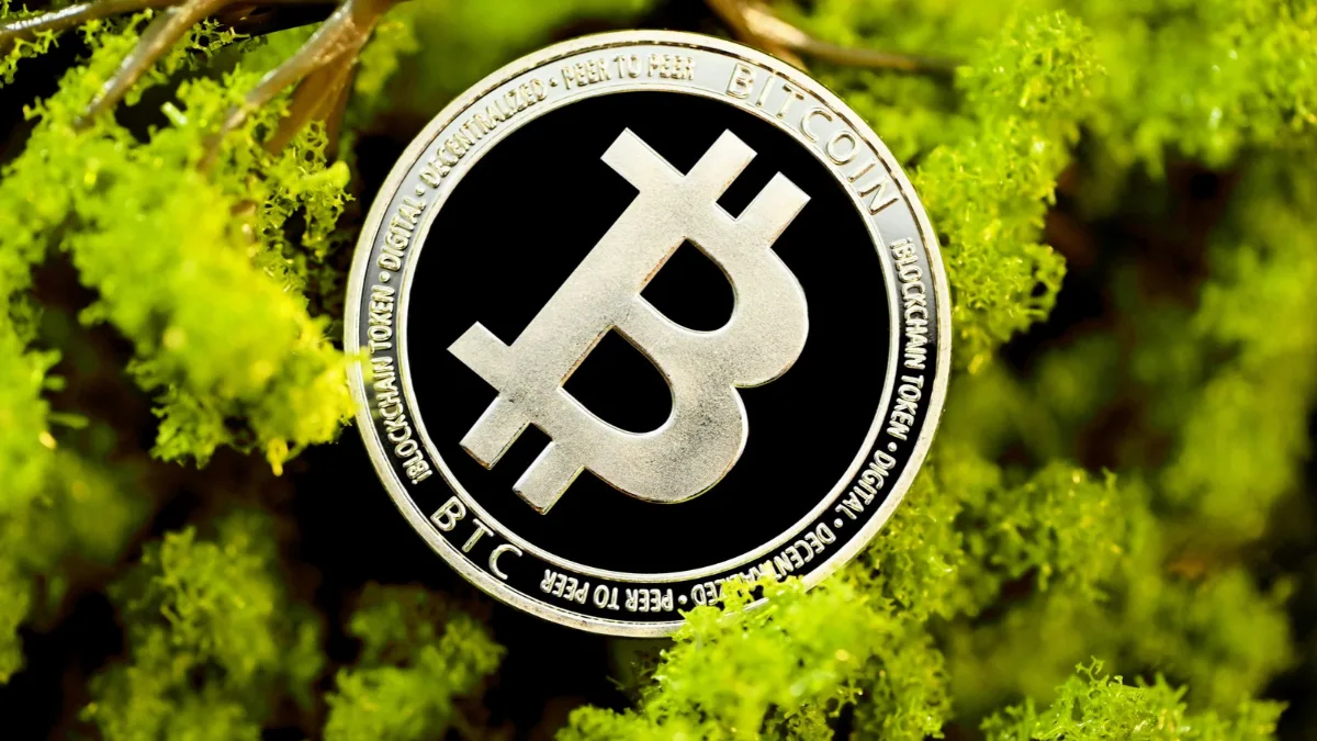 Arya.ag Plans to Tokenise Grain Ownership Records on Avalanche