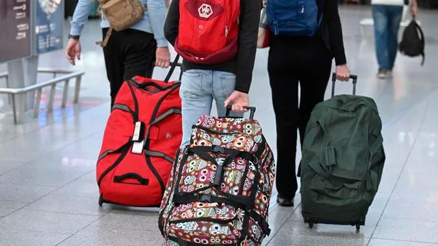 Gelber Mittelmeerskorpion: Frau am Düsseldorfer Flughafen von giftigem Skorpion gestochen