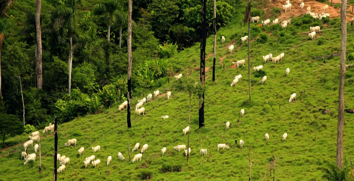 Europa fecha cerco sobre sustentabilidade das cadeias produtivas