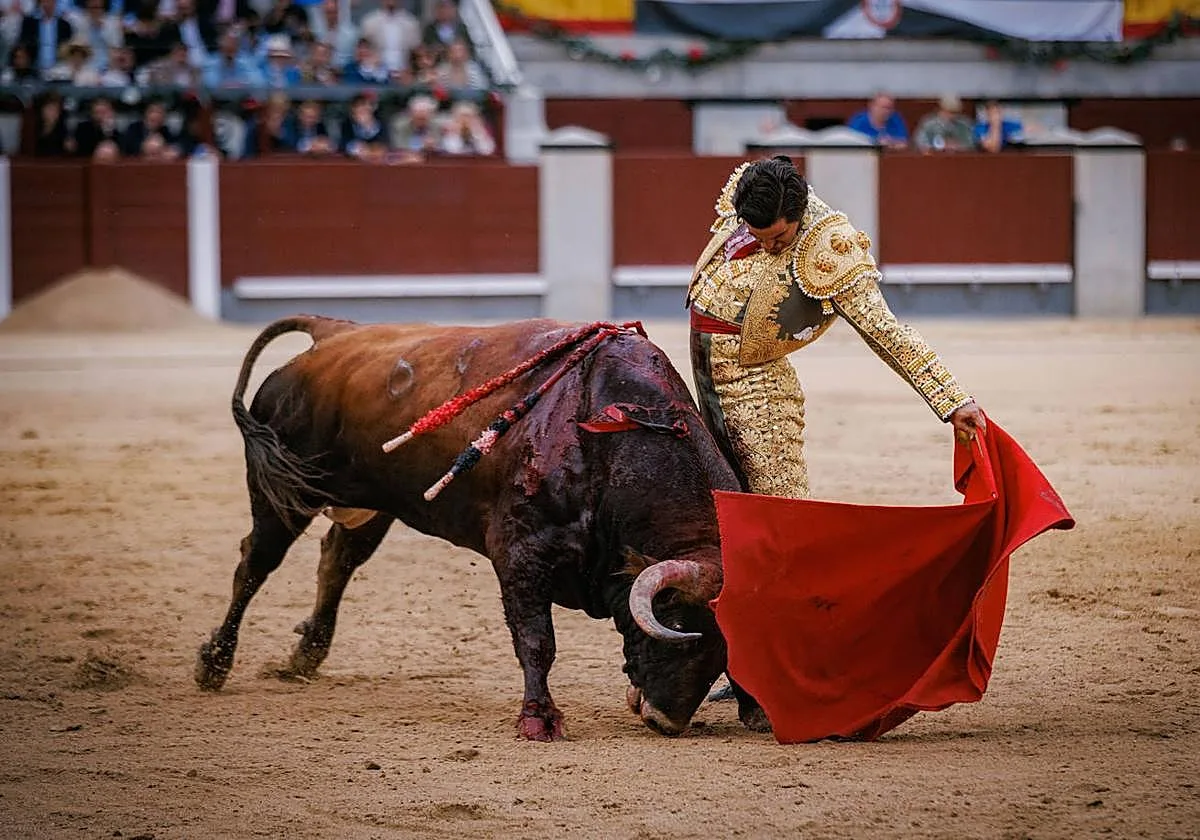 Telemadrid tendrá su canal dedicado en exclusiva a los toros