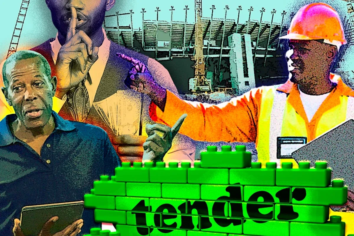 VUYO NINZI | Procurement chaos looms after act declared unconstitutional