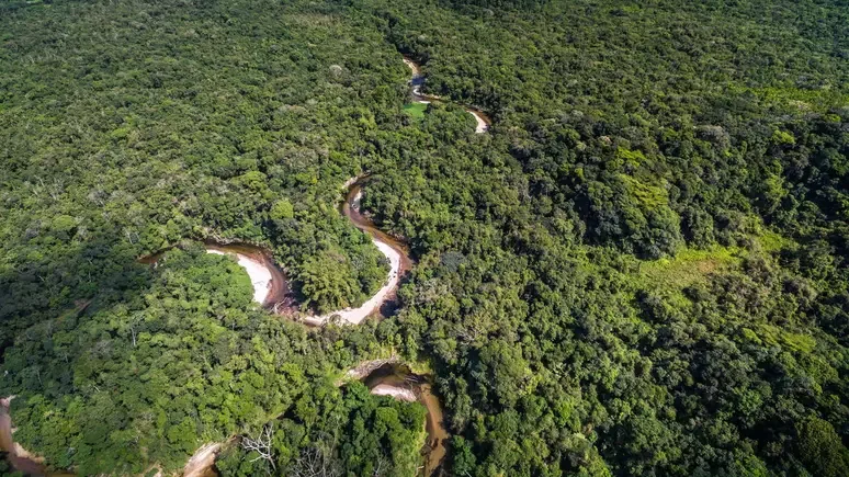Desmatamento na Amazônia cai 39,1% em Roraima, aponta INPE