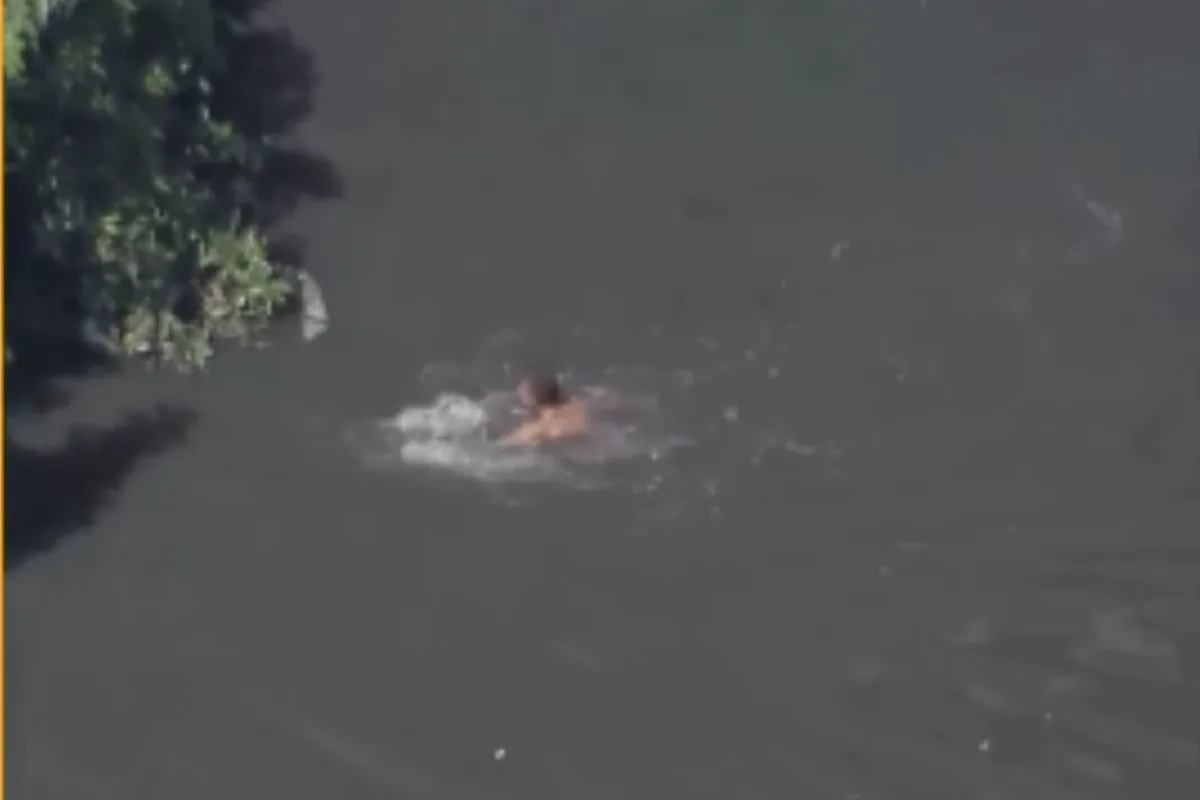 Homem pula no Rio Tietê para tentar fugir da polícia em rodovia
