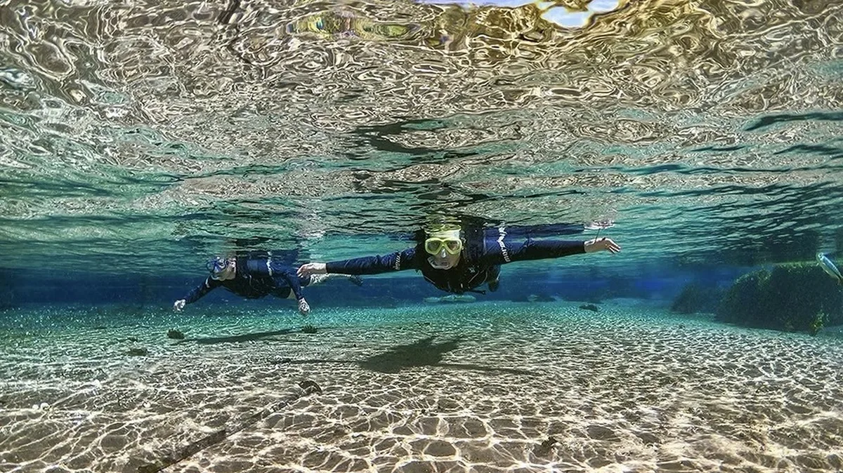 Rio Sucuri: A estrela subaquática do ecoturismo brasileiro