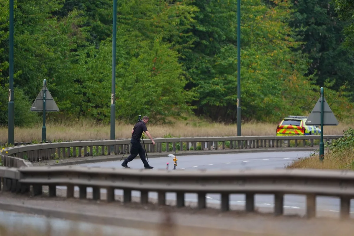 Remove content celebrating dangerous driving, social media companies told