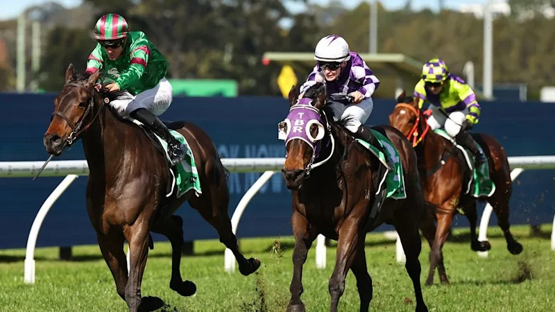 Tips and previews for racing at Rosehill on Saturday