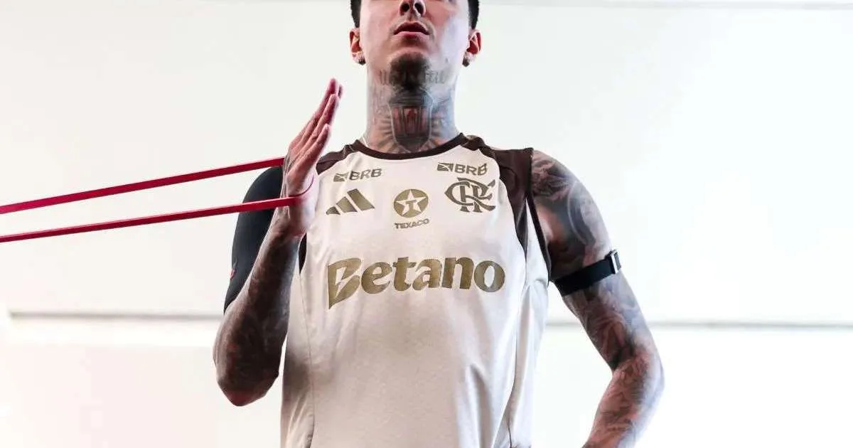 Erick Pulgar pode deixar o Flamengo? Saiba o que falta