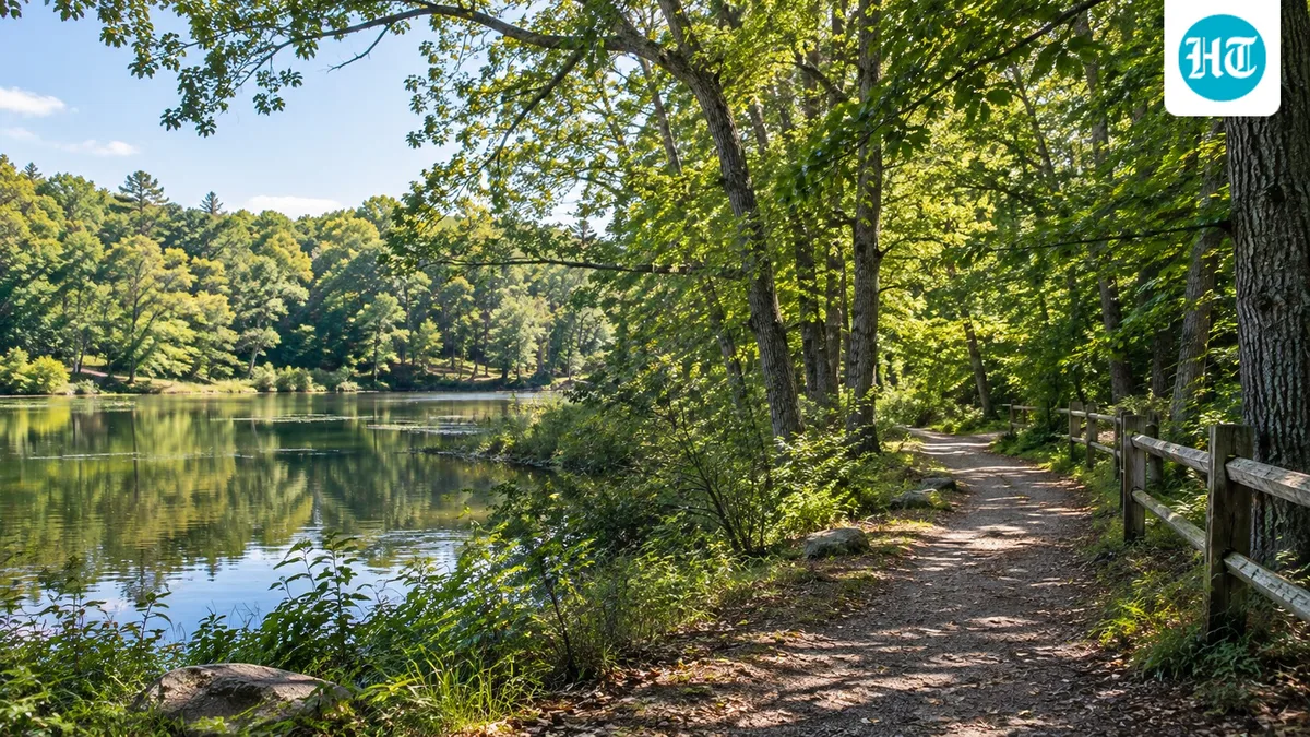 In 1997, Paul Newman donated 7.5 acres beside his Connecticut home; the land later became part of a 38-acre public nature preserve