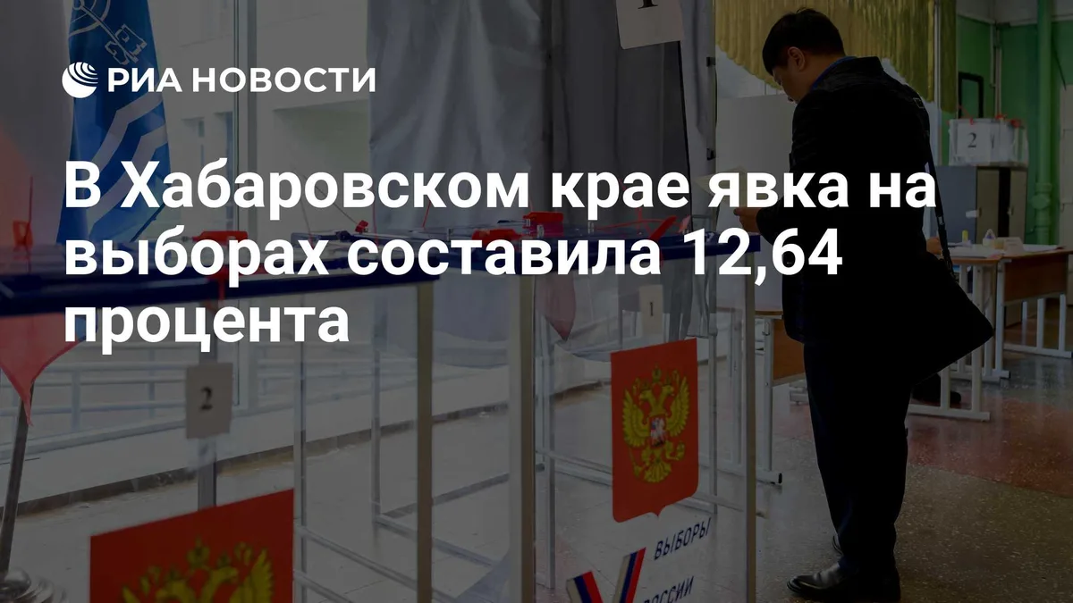 В Хабаровском крае явка на выборах составила 12,64 процента